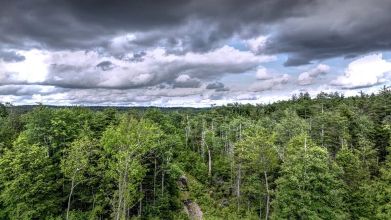 Rindge Town Forest - Rindge, NH