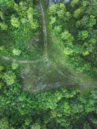 Rindge Town Forest - Rindge, NH