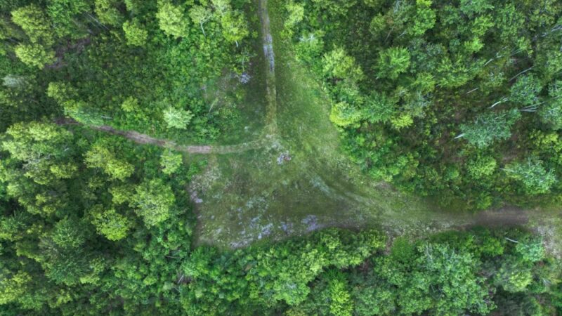 Rindge Town Forest - Rindge, NH