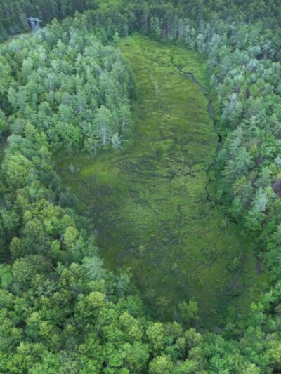 Rindge Town Forest - Rindge, NH