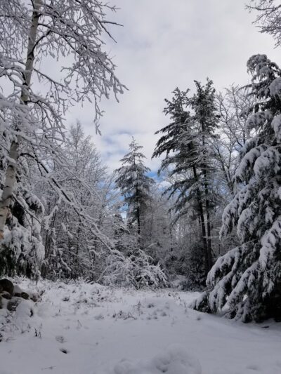 Tetreault Park - Rindge, NH