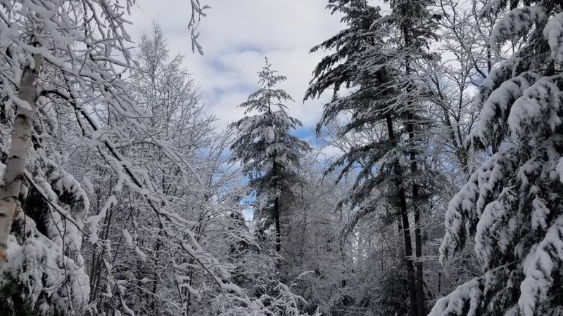 Tetreault Park - Rindge, NH