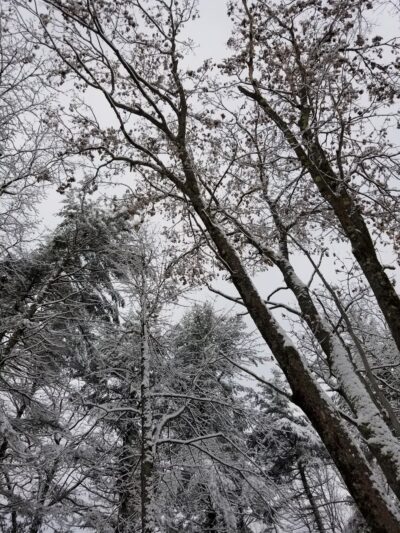 Tetreault Park - Rindge, NH