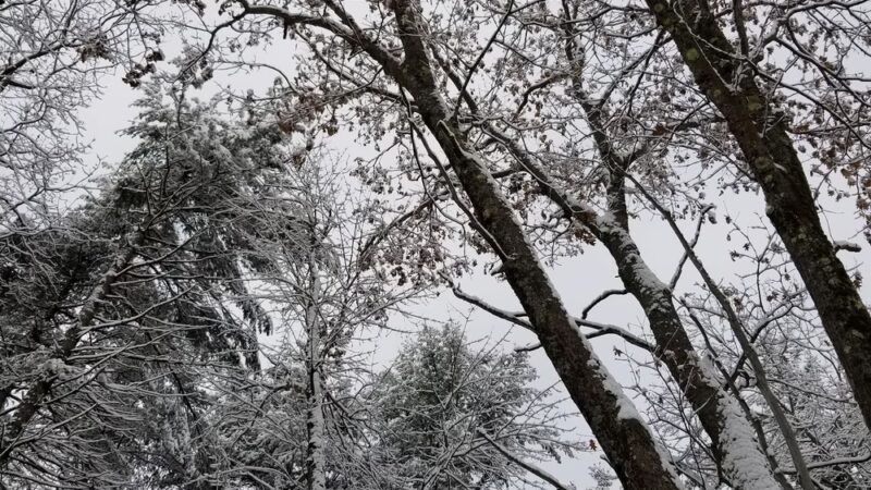 Tetreault Park - Rindge, NH