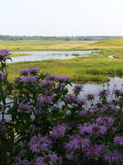 Glacial Park Conservation Area - Ringwood, IL