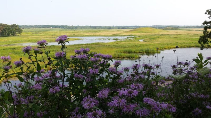Glacial Park Conservation Area - Ringwood, IL