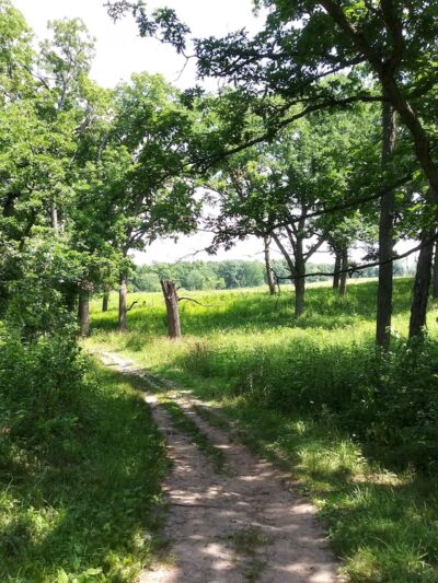 Glacial Park Conservation Area - Ringwood, IL