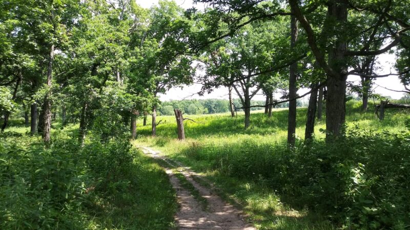 Glacial Park Conservation Area - Ringwood, IL