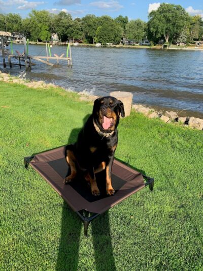 Lucky-E Kennels - Ringwood, IL