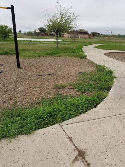 Rio Hondo City Park - Rio Hondo, TX