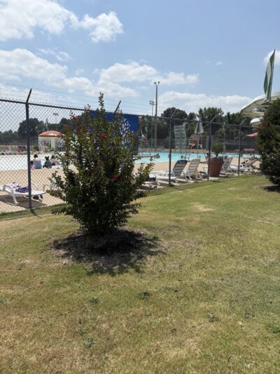 Ripley City Park - Ripley, TN