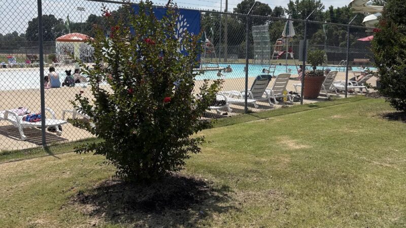 Ripley City Park - Ripley, TN