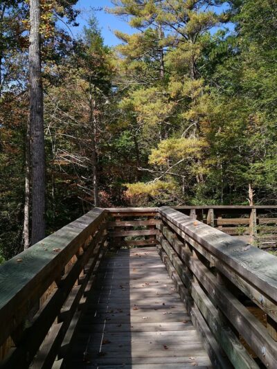 Cherokee Flats Day Use Area - Ripplemead, VA