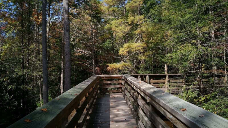 Cherokee Flats Day Use Area - Ripplemead, VA