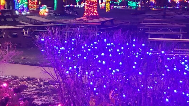 River Front Park - River Grove, IL