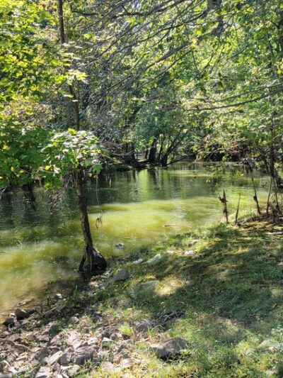 Poplar Road Wildlife Sanctuary - River Vale, NJ