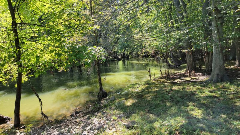 Poplar Road Wildlife Sanctuary - River Vale, NJ