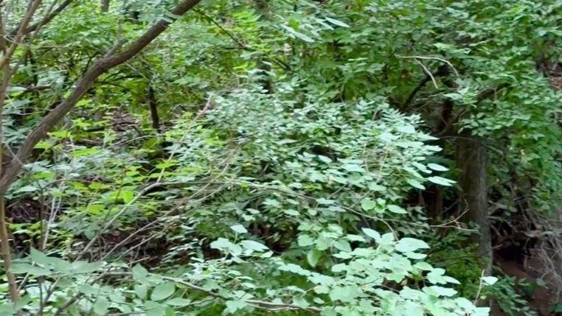 River Way Trailhead - Riverdale, IA