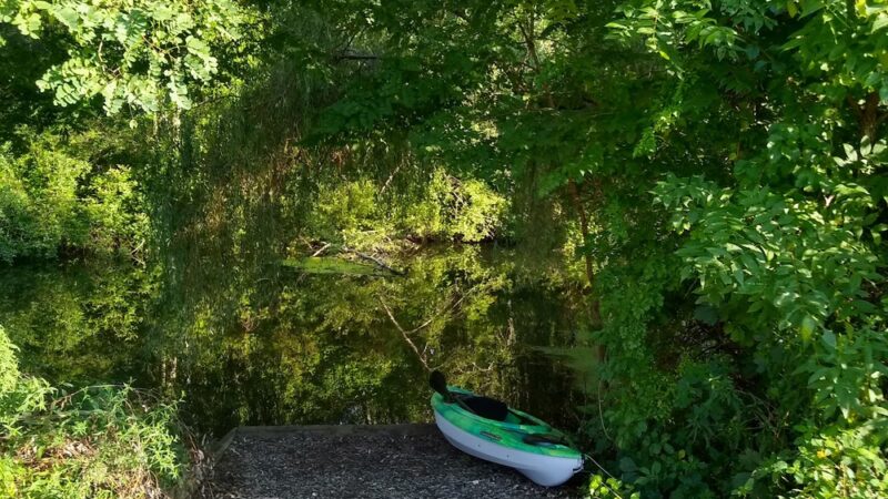 Weeping Willow Park - Riverhead, NY