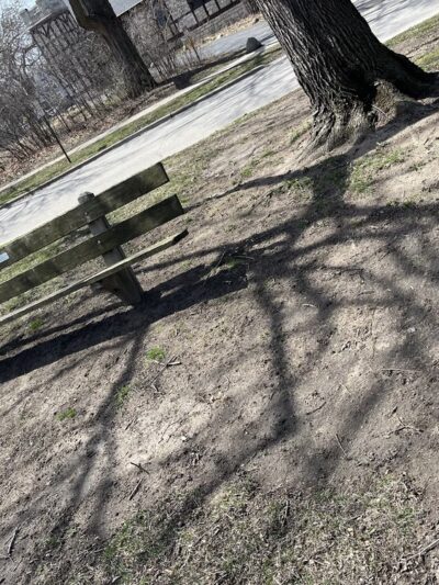 Akenside/Longcommon Triangle - Riverside, IL