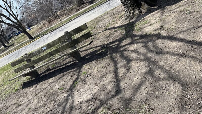 Akenside/Longcommon Triangle - Riverside, IL