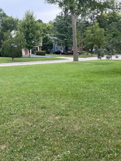 Akenside/Woodside Triangle - Riverside, IL