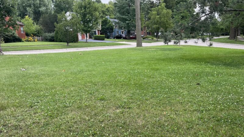 Akenside/Woodside Triangle - Riverside, IL