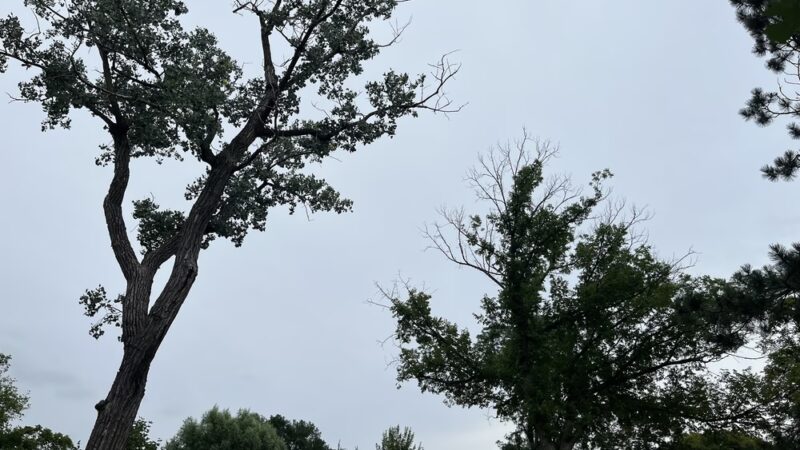 Akenside/Woodside Triangle - Riverside, IL