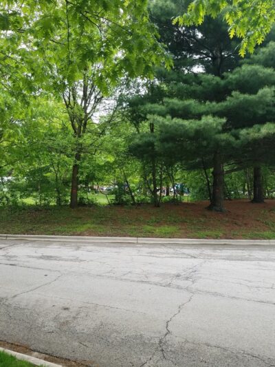Blythe Park - Riverside, IL