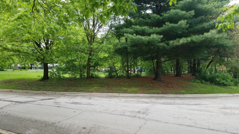 Blythe Park - Riverside, IL