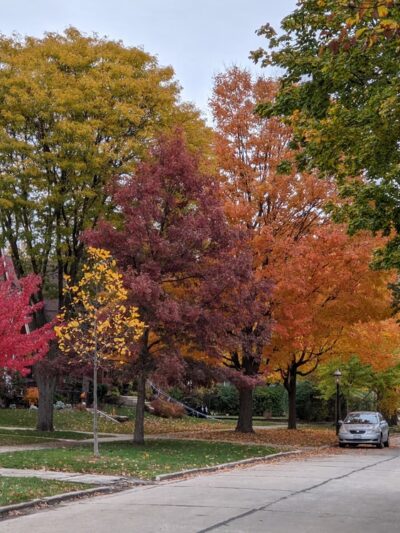 Blythe Park - Riverside, IL