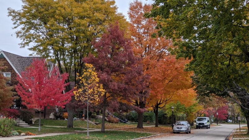 Blythe Park - Riverside, IL