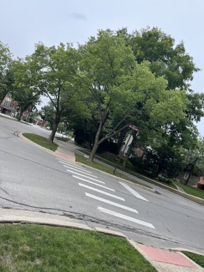 Delaplane/Woodside Triangle - Riverside, IL