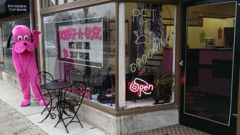 Doggy-A-GoGo Pet Day Spa & Self Wash - Riverside, IL