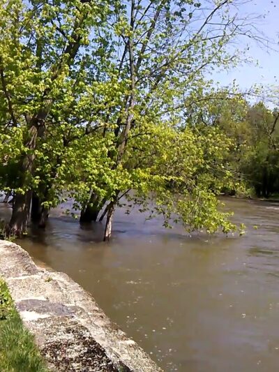 Guthrie Park - Riverside, IL