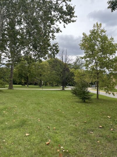 Herrick/Longcommon Triangle - Riverside, IL