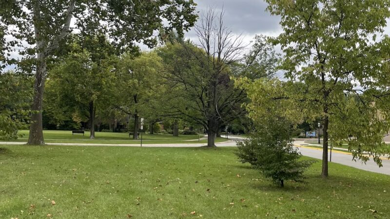 Herrick/Longcommon Triangle - Riverside, IL