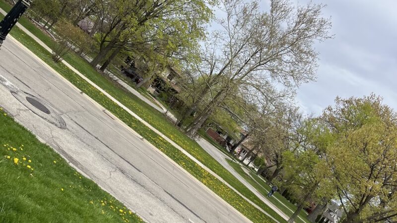 Lawton/Riverside Triangle - Riverside, IL