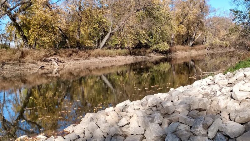 Schuth’s Grove - Riverside, IL