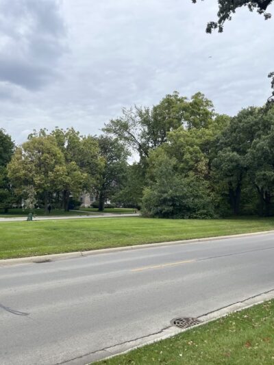 The Longcommon South - Riverside, IL