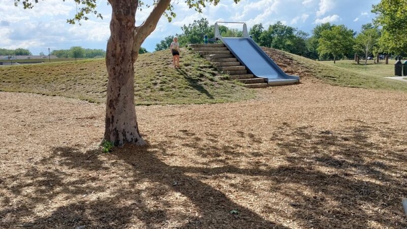 E. H. Young Riverfront Park Off-Leash Dog Park - Riverside, MO