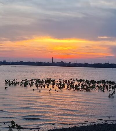 Palmyra Promenade Park - Riverton, NJ