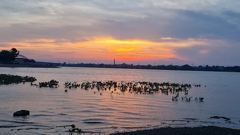 Palmyra Promenade Park - Riverton, NJ