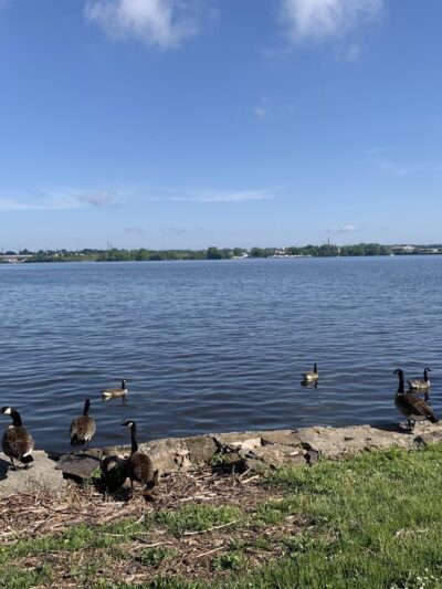 Palmyra Promenade Park - Riverton, NJ