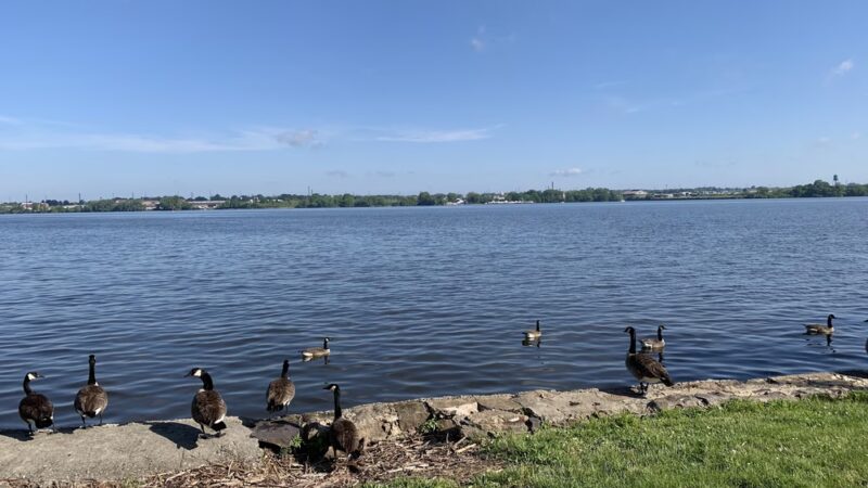 Palmyra Promenade Park - Riverton, NJ