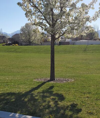 Canyonview Southeast Park - Riverton, UT