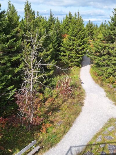 Trailhead to Spruce Knob - Riverton, WV