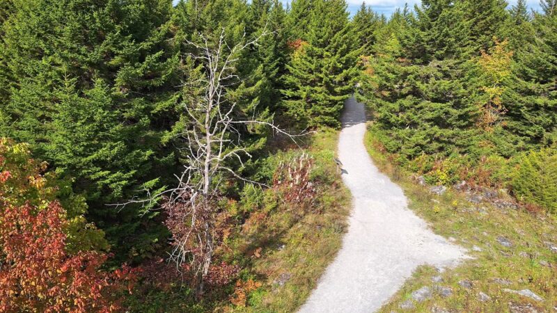 Trailhead to Spruce Knob - Riverton, WV