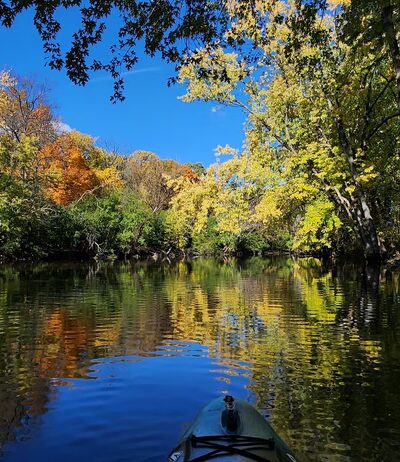 Lake County Forest Preserves - Riverwoods, IL