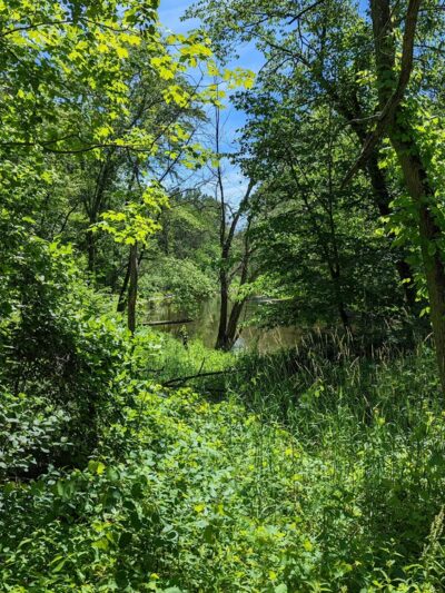 Lake County Forest Preserves - Riverwoods, IL